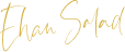 Ehan Logo